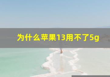 为什么苹果13用不了5g