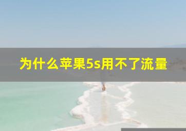 为什么苹果5s用不了流量