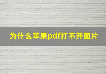 为什么苹果pdf打不开图片