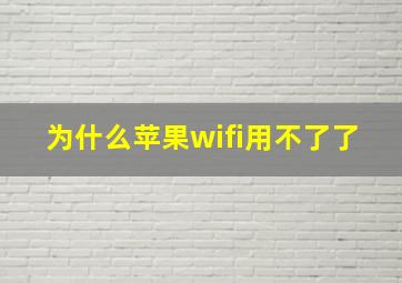 为什么苹果wifi用不了了