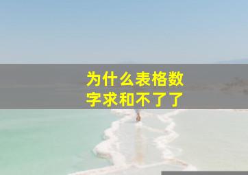 为什么表格数字求和不了了