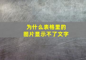 为什么表格里的图片显示不了文字