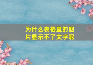 为什么表格里的图片显示不了文字呢