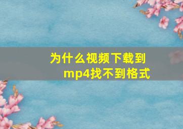 为什么视频下载到mp4找不到格式