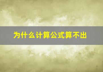 为什么计算公式算不出