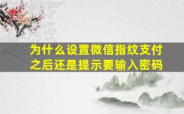 为什么设置微信指纹支付之后还是提示要输入密码