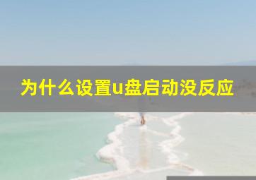 为什么设置u盘启动没反应