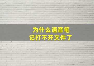 为什么语音笔记打不开文件了