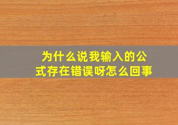 为什么说我输入的公式存在错误呀怎么回事