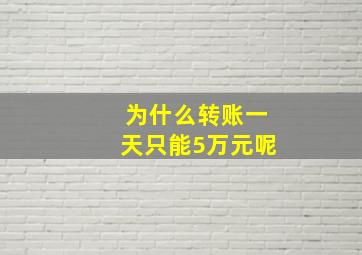 为什么转账一天只能5万元呢