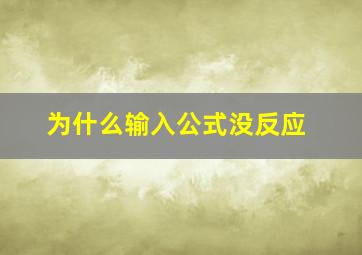 为什么输入公式没反应