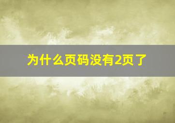 为什么页码没有2页了