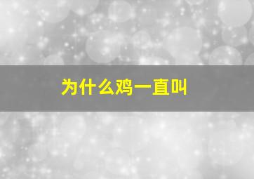 为什么鸡一直叫