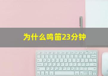 为什么鸣笛23分钟