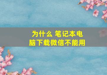 为什么 笔记本电脑下载微信不能用