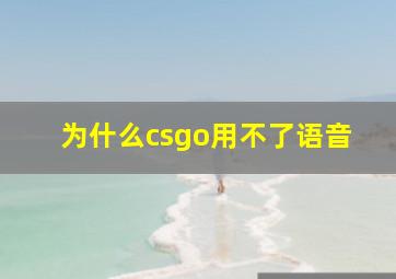 为什么csgo用不了语音