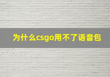 为什么csgo用不了语音包