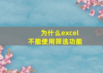 为什么excel不能使用筛选功能