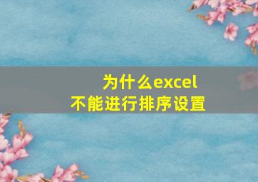 为什么excel不能进行排序设置