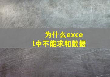 为什么excel中不能求和数据