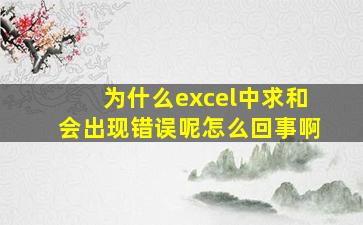 为什么excel中求和会出现错误呢怎么回事啊