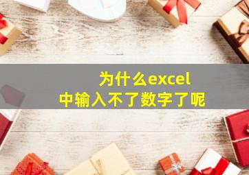 为什么excel中输入不了数字了呢