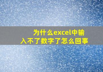 为什么excel中输入不了数字了怎么回事