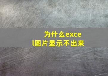 为什么excel图片显示不出来