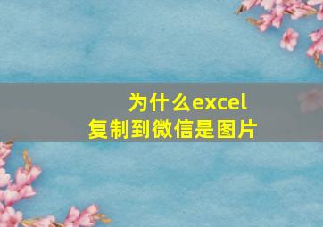 为什么excel复制到微信是图片