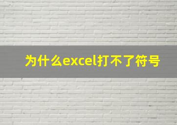 为什么excel打不了符号