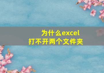 为什么excel打不开两个文件夹