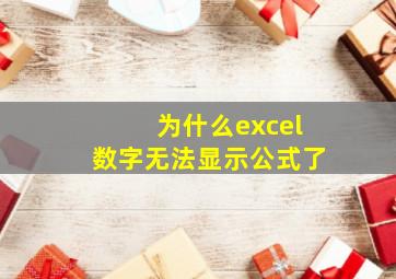 为什么excel数字无法显示公式了