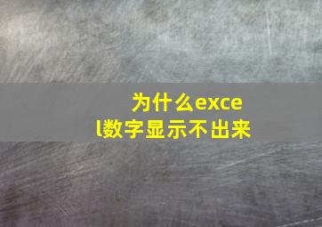 为什么excel数字显示不出来