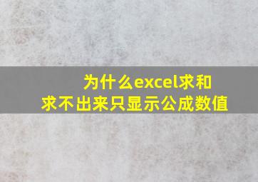 为什么excel求和求不出来只显示公成数值