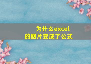 为什么excel的图片变成了公式