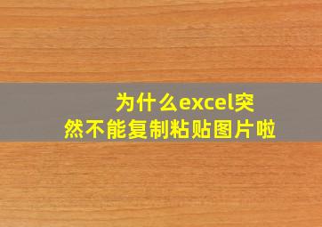 为什么excel突然不能复制粘贴图片啦