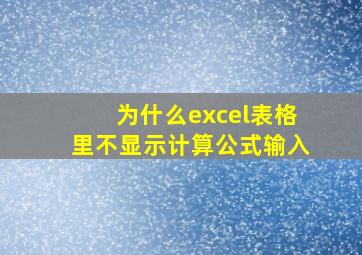 为什么excel表格里不显示计算公式输入