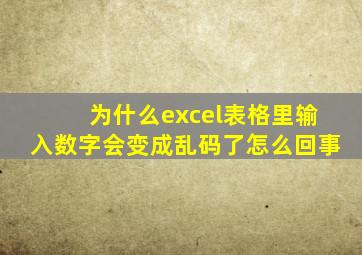 为什么excel表格里输入数字会变成乱码了怎么回事