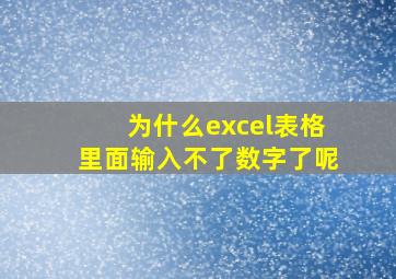 为什么excel表格里面输入不了数字了呢