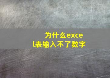 为什么excel表输入不了数字