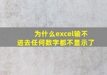 为什么excel输不进去任何数字都不显示了