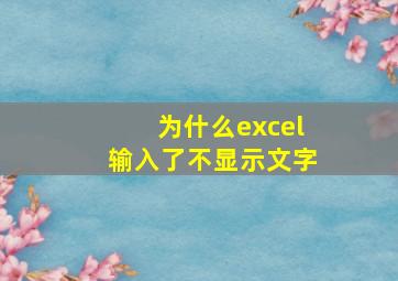 为什么excel输入了不显示文字