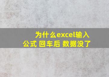 为什么excel输入公式 回车后 数据没了