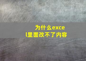 为什么excel里面改不了内容