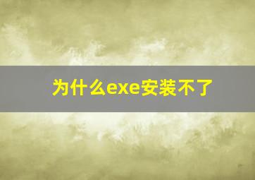 为什么exe安装不了