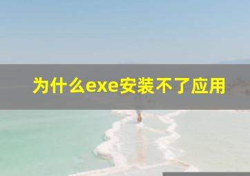 为什么exe安装不了应用