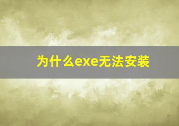 为什么exe无法安装