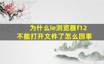 为什么ie浏览器f12不能打开文件了怎么回事