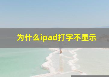 为什么ipad打字不显示