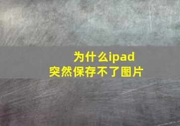 为什么ipad突然保存不了图片